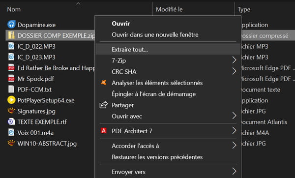 Décompressez un fichier zippé avec Windows   15384435