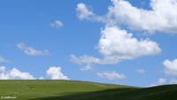 Les faux paysages, version Nvidia