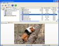 Easy archive recovery