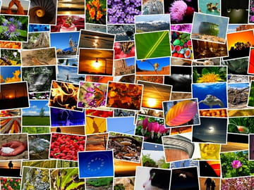 Les meilleurs logiciels gratuits pour trier et gérer des photos