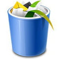 Reset browser