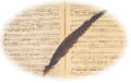 Pizzicato logiciel