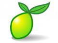 Limesurvey gratuit