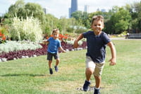 Les bons plans pratiques pour louer un jardin