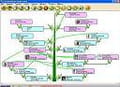 L'arbre de la famille