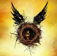 Harry Potter : les sites que vous avez peut-être manqués
