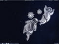 Stellarium