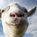 Goat simulator gratuit