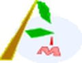 Amaya html