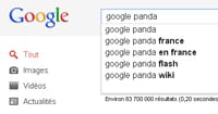Google déploie sa mise à jour Panda en France