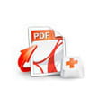 Renee pdf