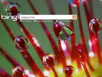 Bing affiche 5 fois plus de liens vers des sites infectés que Google