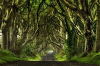 Games of Thrones, vous manque déjà ?
