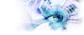 Blueiris