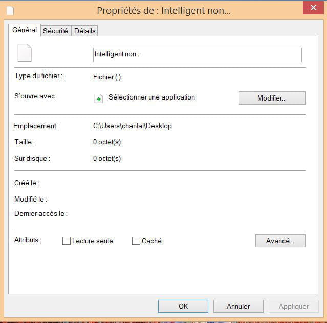 Fichier impossible à supprimer Forum Windows 8 / 8.1