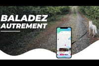 Woog : une appli communautaire pour promener son chien