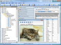 Logiciel maestro gratuit