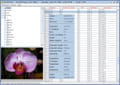 Exif viewer