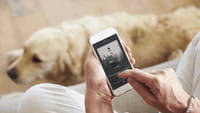Streaming musical, Amazon se lance aussi