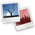 Shotwell windows