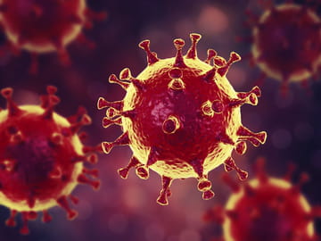 Détecter des virus dans des fichiers ou des sites Web