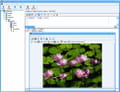 Télécharger DBBlobEditor (Gestion de données)