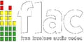 Audio flac download