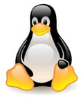 Xvideoservicethief ubuntu 12.04 os x download os