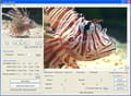 Télécharger Topaz Moment! (Capture d'écran)