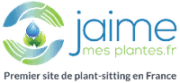 Jaimemesplantes.fr : le « plant-sitting » des plantes vertes