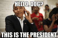 Obama, memes et gifs animés