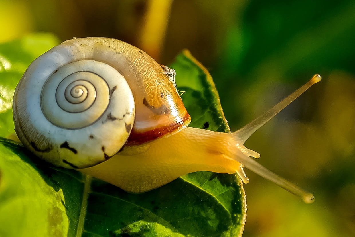 Nettoyer Un Pc Devenu Lent Avec Les Outils De Windows