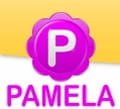 Télécharger Pamela for Skype (Téléphonie/Voix sur IP)