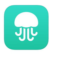 Jelly : l'application d'entraide par image interposée