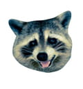Mypal browser