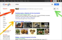 Google lance une fonctionnalité favorisant Google Plus dans ses résultats de recherche