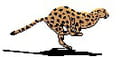 Télécharger pascal