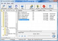 Free bpm detector