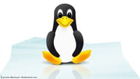 Linux, star des supercalculateurs