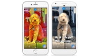 Les stickers photos arrivent sur Skype