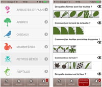 Ecobalade : l’appli pour découvrir la nature