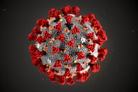 Coronavirus : suivre la progression de l'épidémie sur Internet