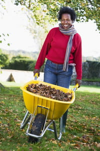 Vacances WWOOFing, et voilà le travail !