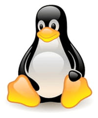 Linux à la conquête des entreprises