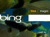Bing adapte la recherche en ligne à chaque utilisateur