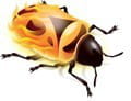 Firebug firefox