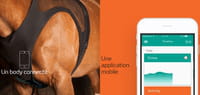 Equisense : des objets connectés oui, mais pour les chevaux !
