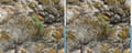 Télécharger Raw Photo Processor (Graphisme)
