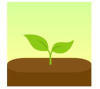 Des sites et des applis pour planter des arbres