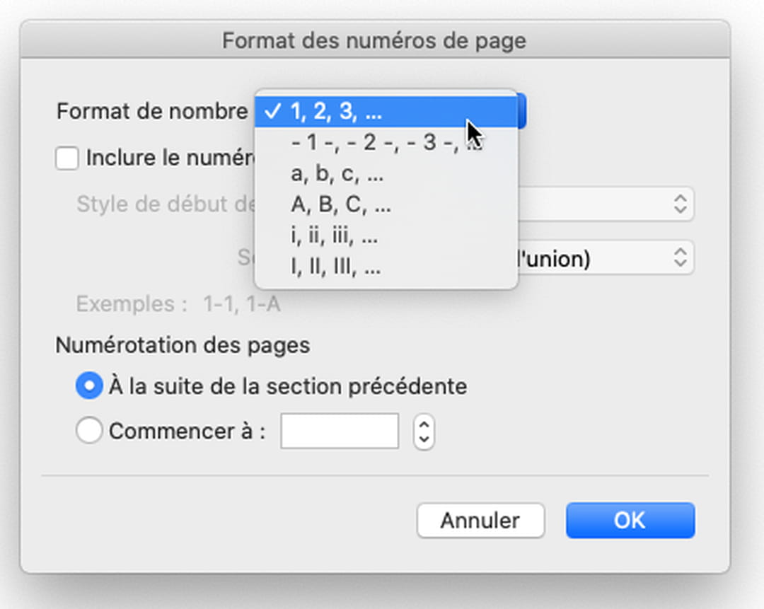 Numéro de page Word : afficher, personnaliser, supprimer…